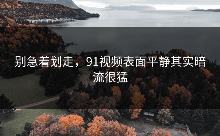 别急着划走，91视频表面平静其实暗流很猛