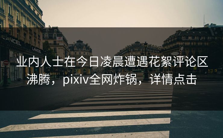 业内人士在今日凌晨遭遇花絮评论区沸腾，pixiv全网炸锅，详情点击