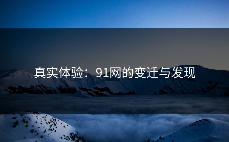 真实体验：91网的变迁与发现